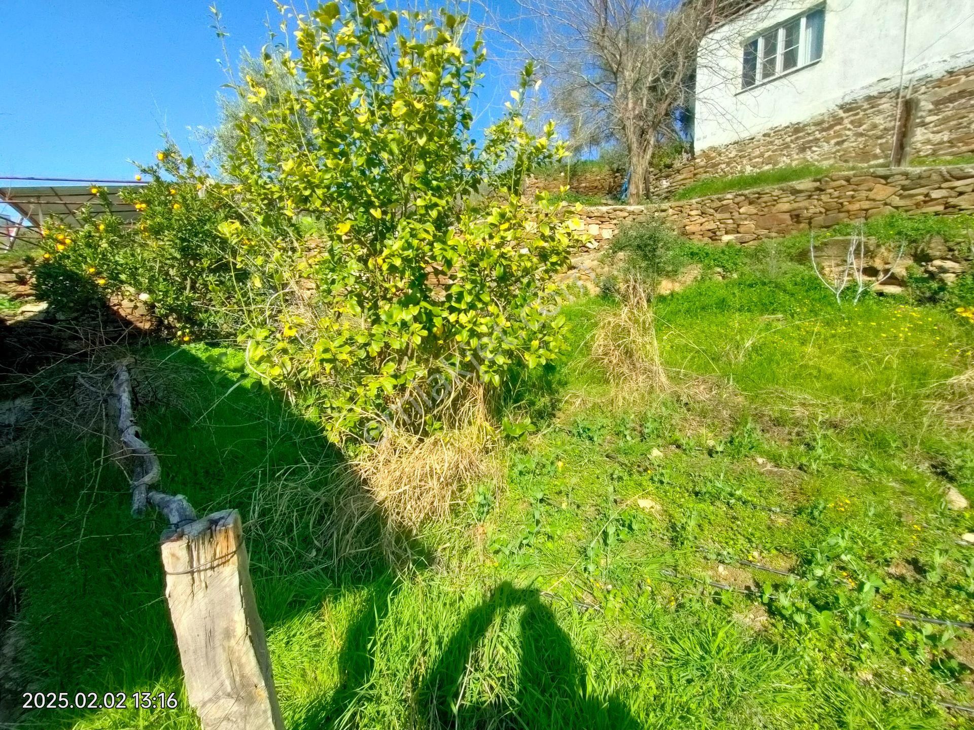 Nazilli Uzunçam Mahallesinde Satılık Müstakil Bahçeli Köy Evi - Görsel 11