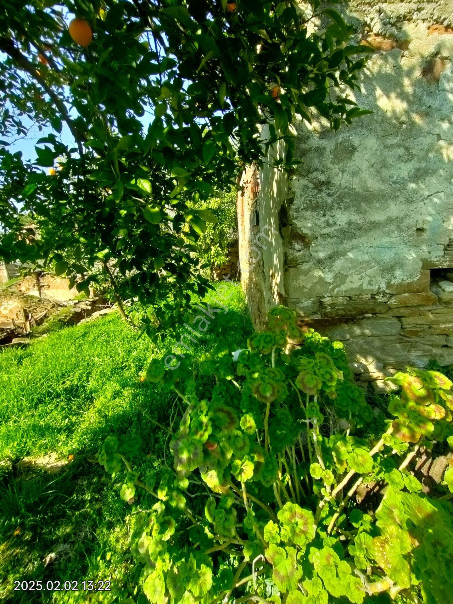 Nazilli Uzunçam Mahallesinde Satılık Müstakil Bahçeli Köy Evi - Görsel 15