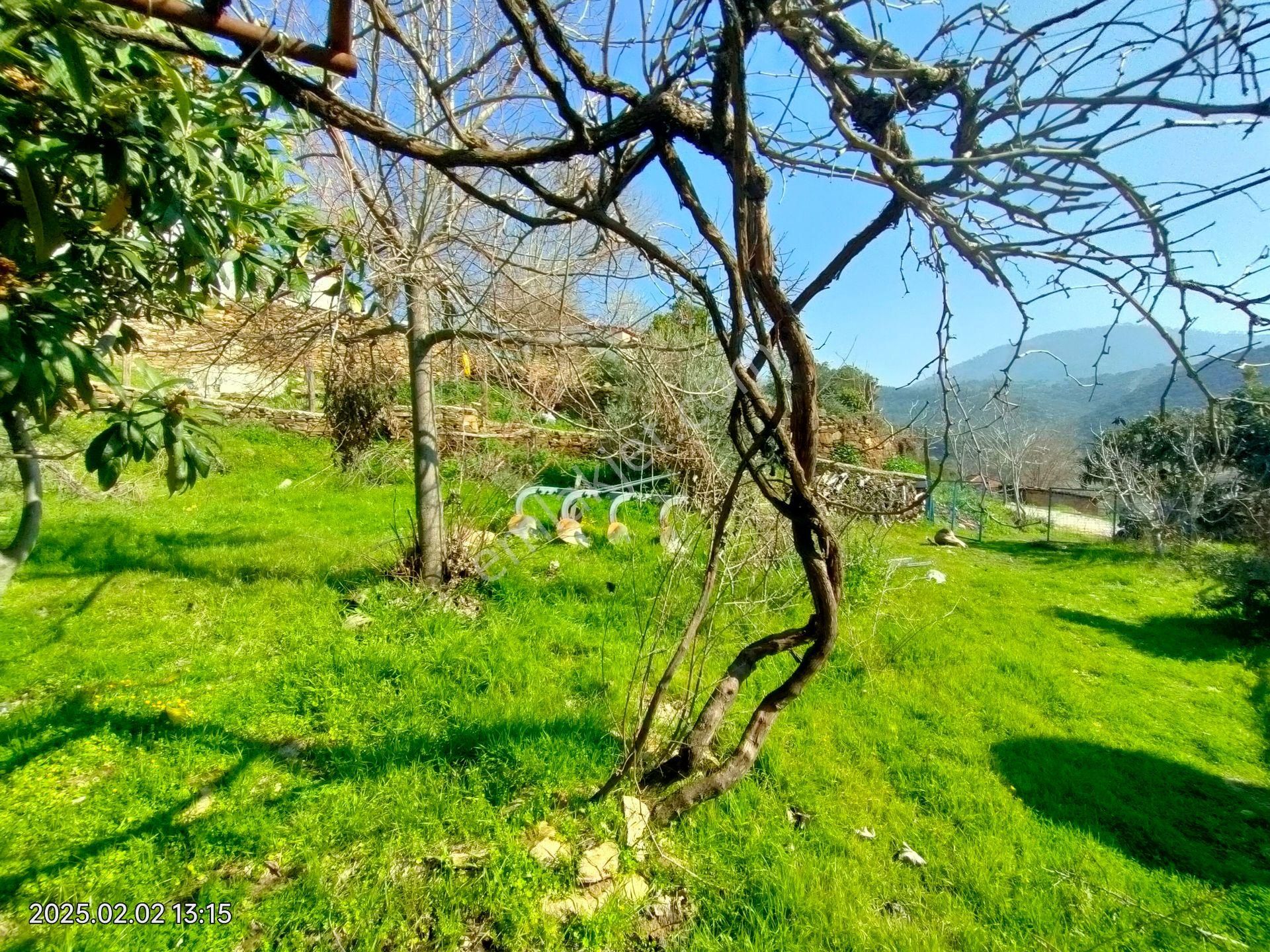 Nazilli Uzunçam Mahallesinde Satılık Müstakil Bahçeli Köy Evi - Görsel 20