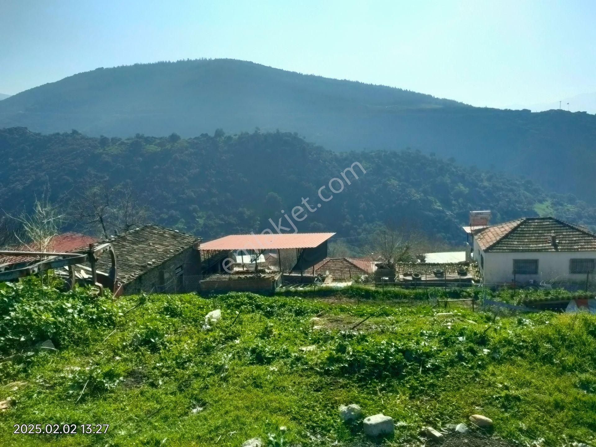 Nazilli Uzunçam Mahallesinde Satılık Müstakil Bahçeli Köy Evi - Görsel 3