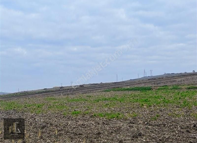 Hakan Girgin'den Karacabey Karakoca'da Satılık 452m² Arazi! - Görsel 6