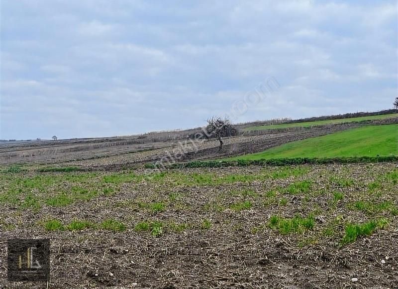 Hakan Girgin'den Karacabey Karakoca'da Satılık 452m² Arazi! - Görsel 4