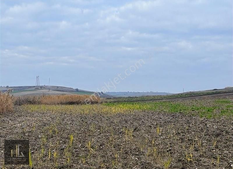 Hakan Girgin'den Karacabey Karakoca'da Satılık 452m² Arazi!