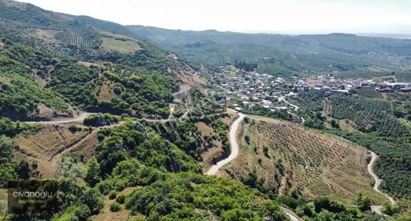 Mudanya Mirzaoba'da Yatırımlık Arazi - Görsel 2
