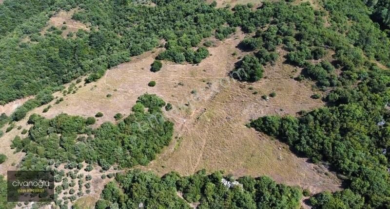 Mudanya Mirzaoba'da Yatırımlık Arazi - Görsel 9