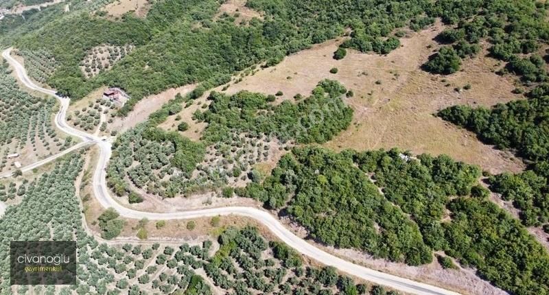 Mudanya Mirzaoba'da Yatırımlık Arazi - Görsel 5