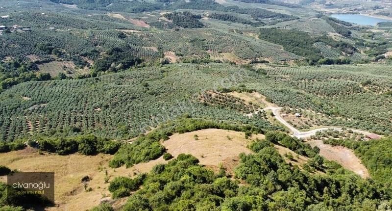 Mudanya Mirzaoba'da Yatırımlık Arazi - Görsel 4