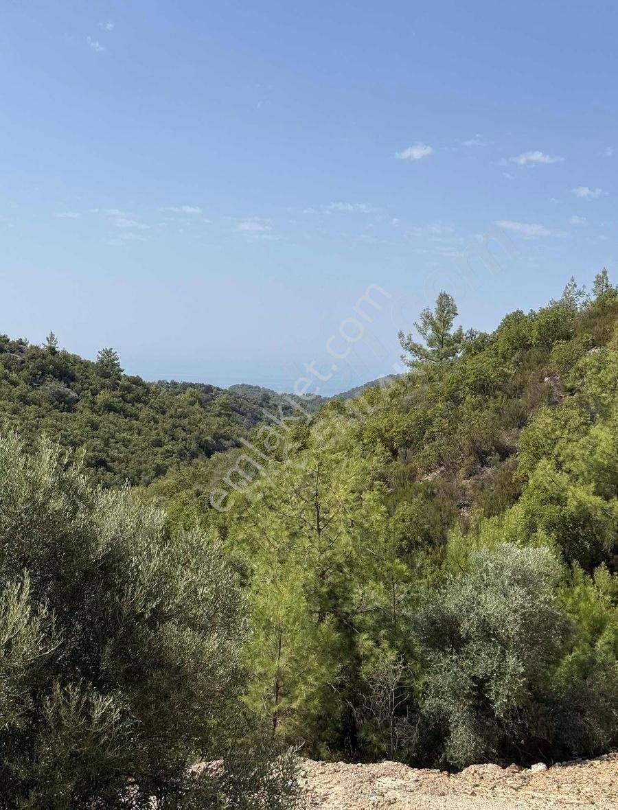 E.k.ç Emlaktan Satılık Orhan Mahallesinde 1 Dönüm Tarla - Görsel 4