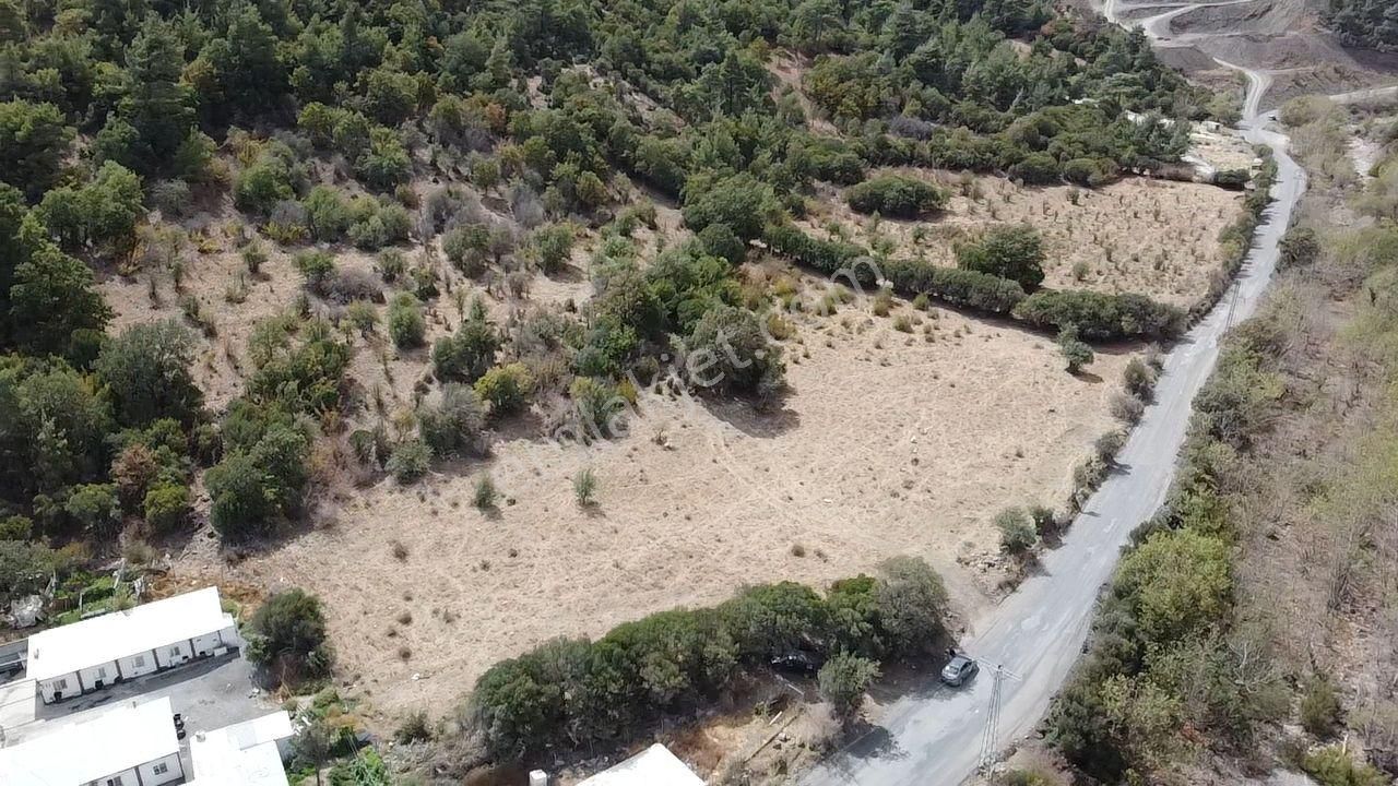 Çanakkale Merkez Haliloğlu Köyü Yola Cepheli 8 Dönüm Tarla - Görsel 14