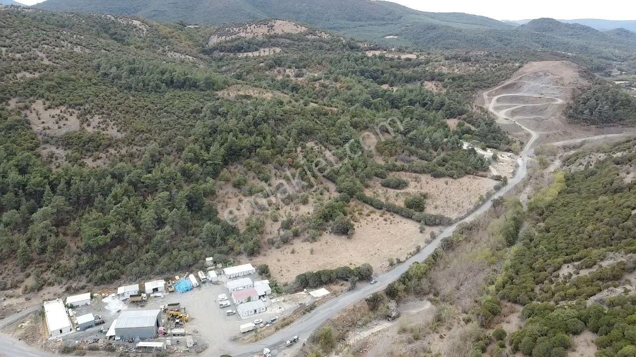 Çanakkale Merkez Haliloğlu Köyü Yola Cepheli 8 Dönüm Tarla - Görsel 6