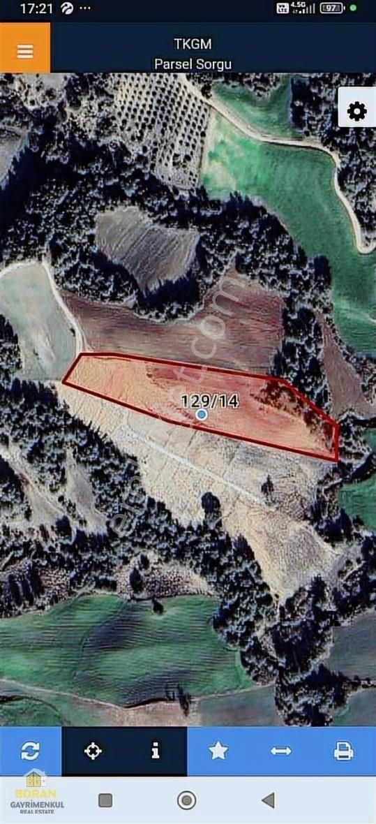 Boran Gayrimenkul Den Doğa İçerisinde 733 M2 Arazimiz Satılık - Görsel 8