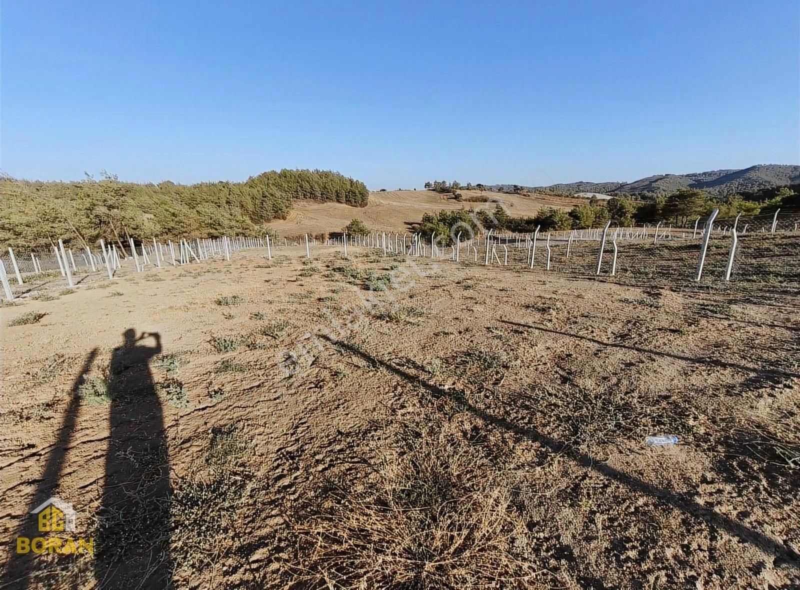 Boran Gayrimenkul Den Doğa İçerisinde 733 M2 Arazimiz Satılık - Görsel 5