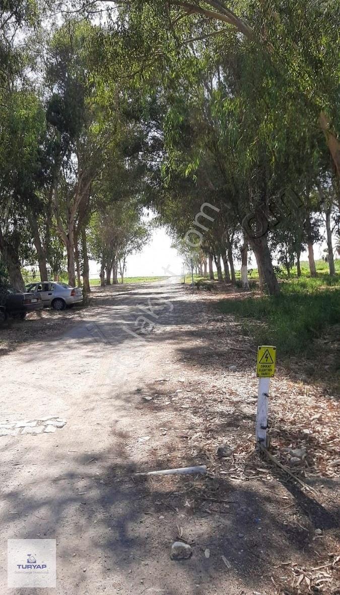Didim Akköy'de Doğayla İçiçe Deniz Kenarı Villa. - Görsel 20