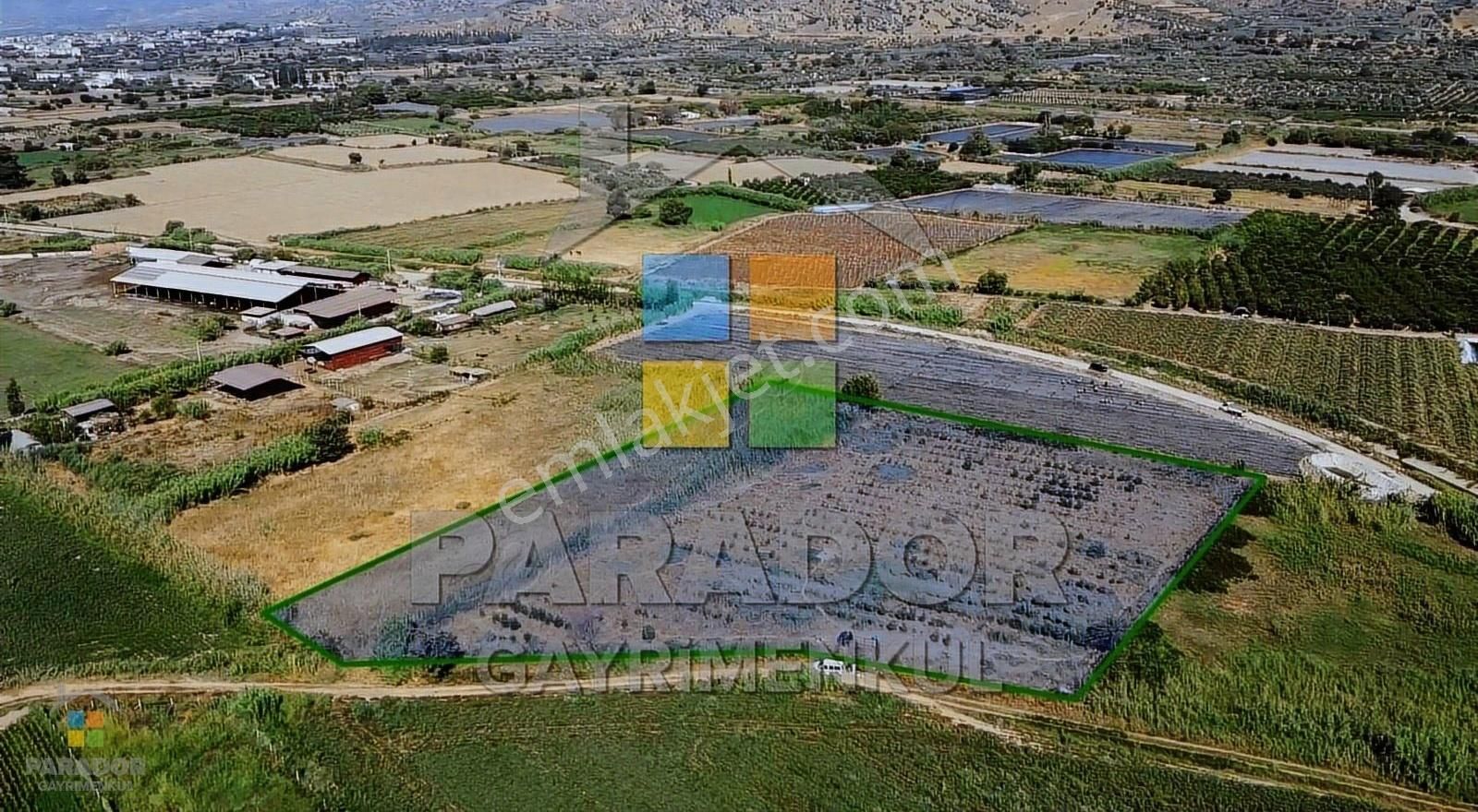 Aydın Sultanhisar Atça Mahallesinde Satılık 6964 M² Tarla