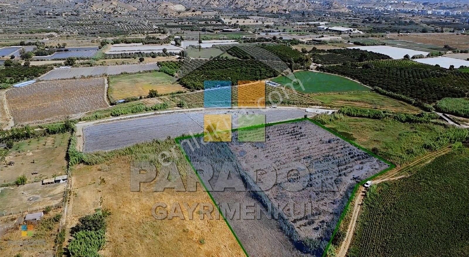 Aydın Sultanhisar Atça Mahallesinde Satılık 6964 M² Tarla - Görsel 10