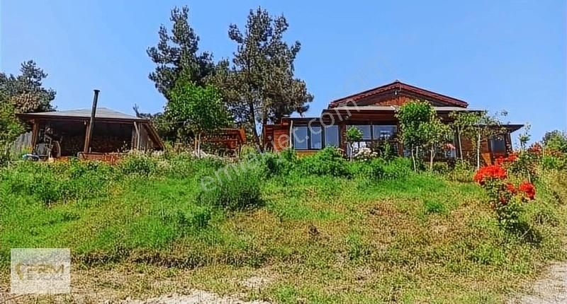 Doğal Yaşam Alanı - Görsel 14
