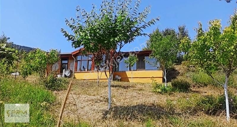 Doğal Yaşam Alanı - Görsel 5