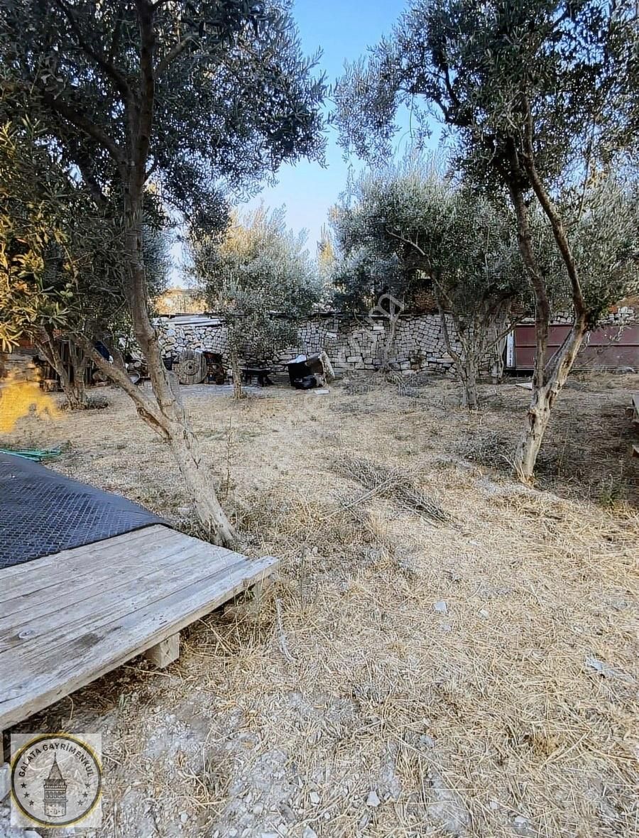 Söke De Kemalpaşa Mah Satılık 2 Katlı Müstakil Ev Ve Bahçesi - Görsel 26