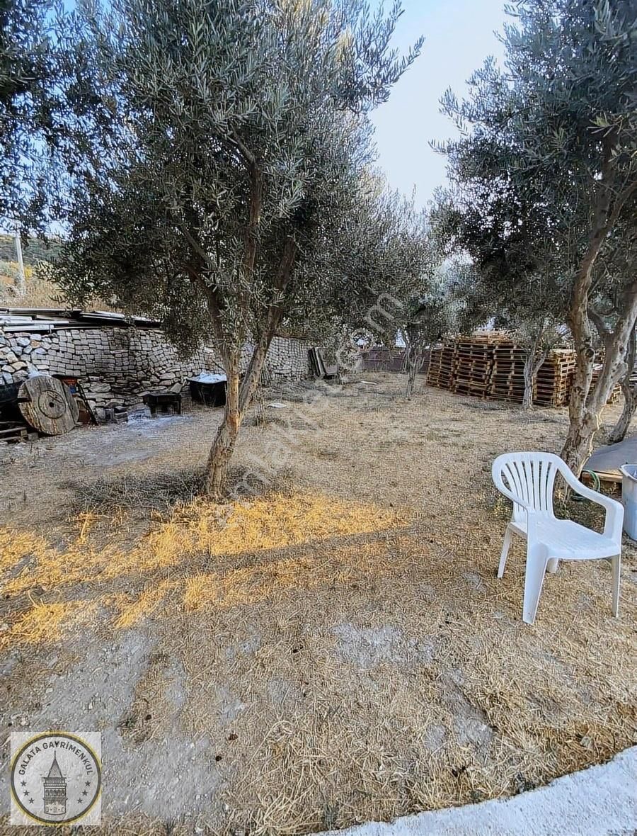 Söke De Kemalpaşa Mah Satılık 2 Katlı Müstakil Ev Ve Bahçesi - Görsel 3