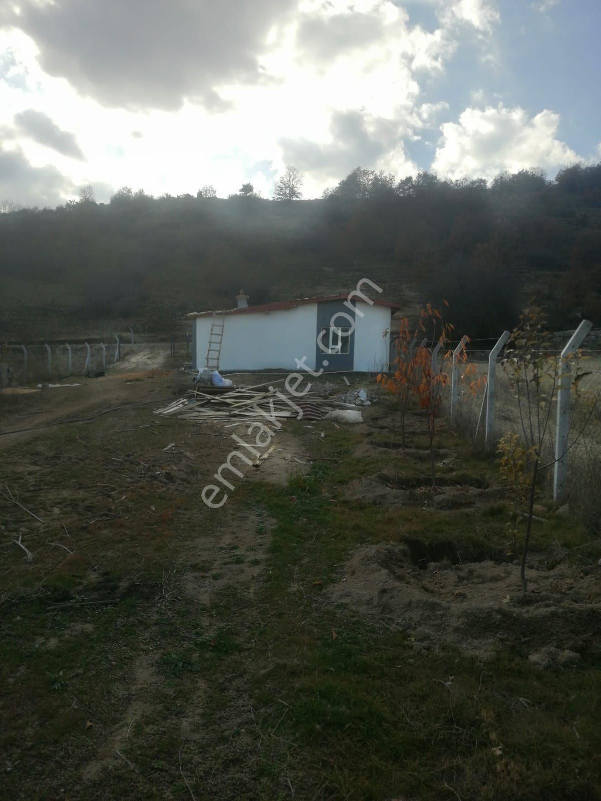 Saglık Ta Hayvancılıga Bahçeye Uygun Evler+elektrık+kuyu+yol+tel - Görsel 18