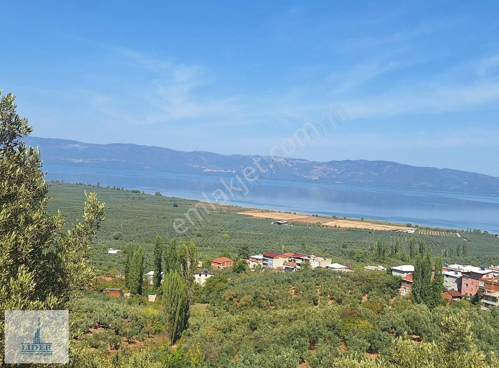 Bursa Orhangazi Heceler Mah. 3161 M2 Göl Manzaralı Zeytinlik - Görsel 11