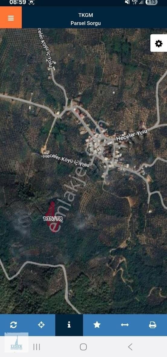 Bursa Orhangazi Heceler Mah. 3161 M2 Göl Manzaralı Zeytinlik - Görsel 10