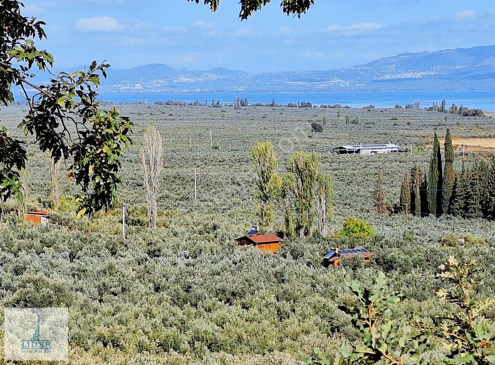 Bursa Orhangazi Heceler Mah. 922 M2 Resmi Yola Cephe Zeytinlik - Görsel 16