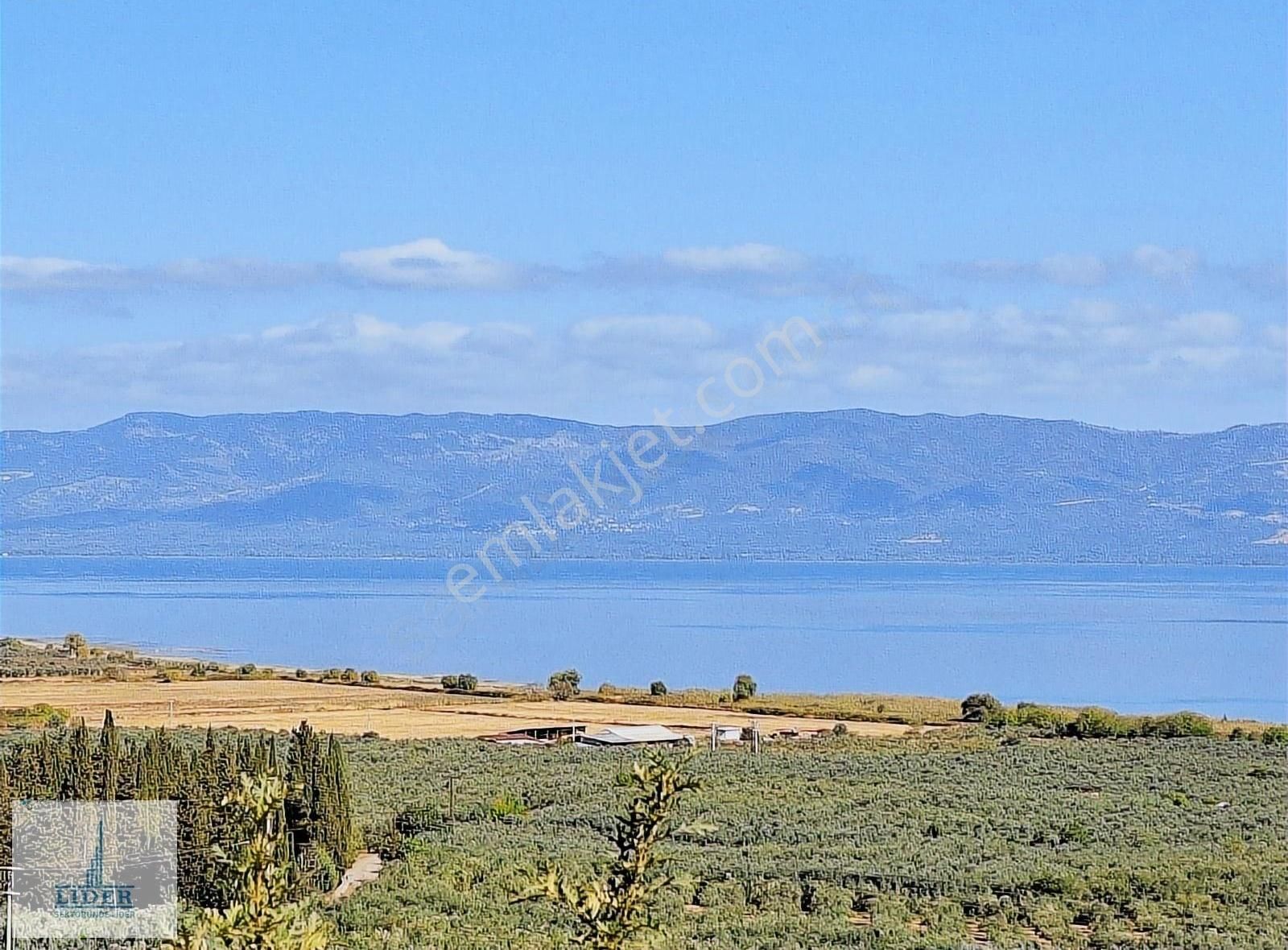 Bursa Orhangazi Heceler Mah. 922 M2 Resmi Yola Cephe Zeytinlik