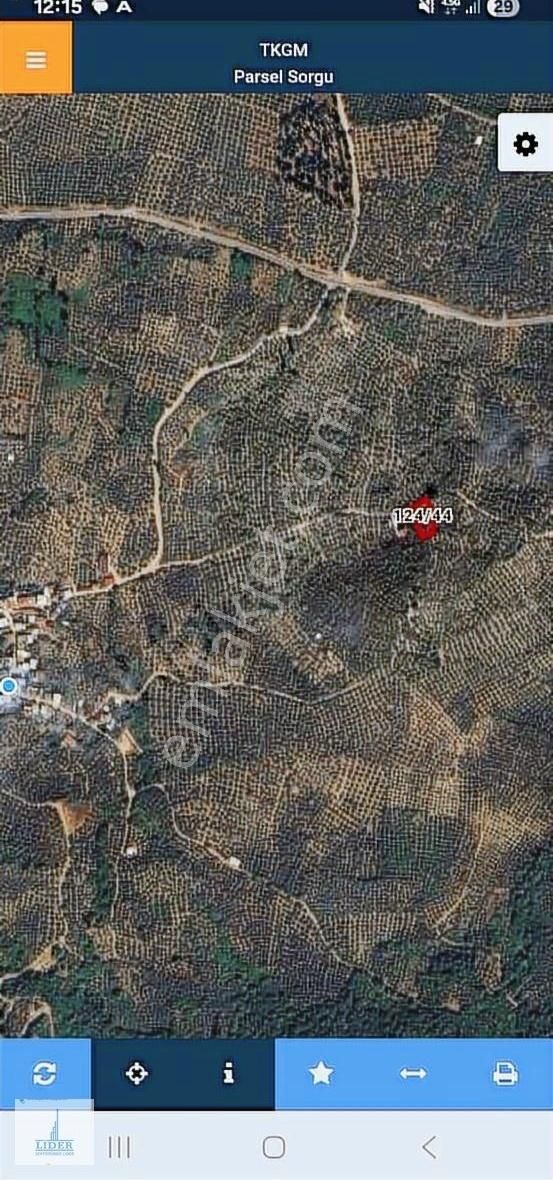 Bursa Orhangazi Heceler Mah. 922 M2 Resmi Yola Cephe Zeytinlik - Görsel 15