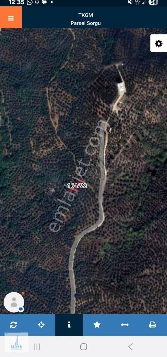 Bursa Orhangazi Yenisölöz Mah. Resmi Yola Cephe Zeytinlik - Görsel 18