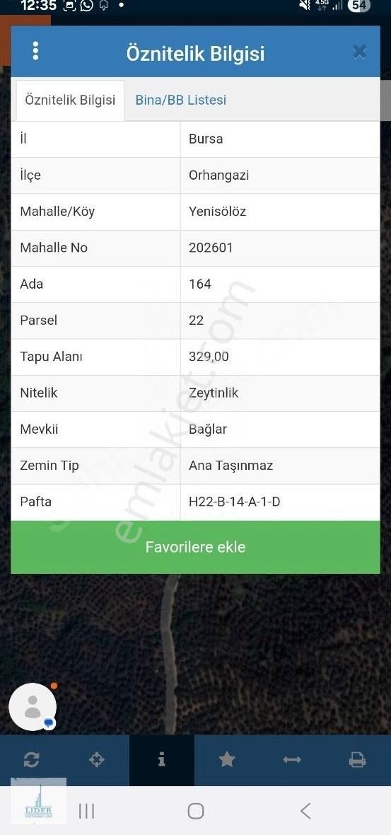 Bursa Orhangazi Yenisölöz Mah. Resmi Yola Cephe Zeytinlik - Görsel 17