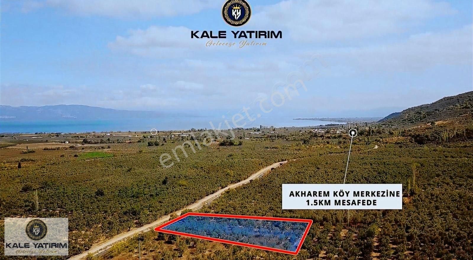 Kale'den Yenigürlede 3.276m² Su Kanalı Ve Yola Cephe Zeytinlik - Görsel 2