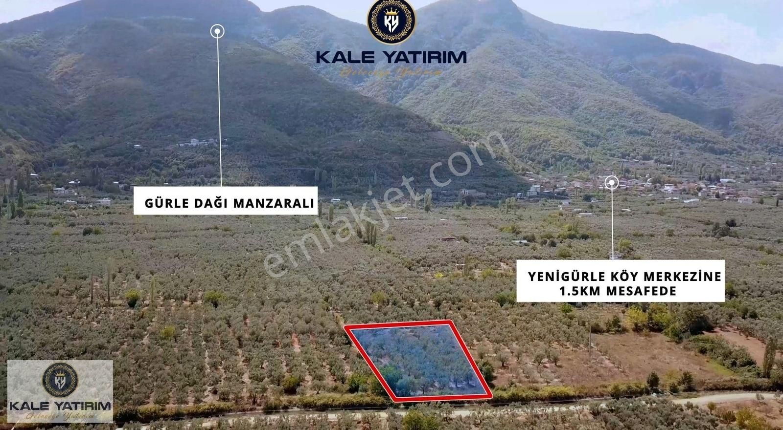 Kale'den Yenigürlede 3.276m² Su Kanalı Ve Yola Cephe Zeytinlik - Görsel 8