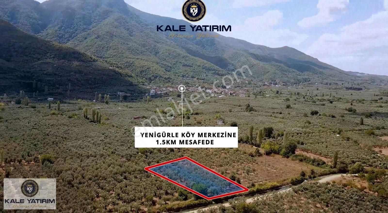 Kale'den Yenigürlede 3.276m² Su Kanalı Ve Yola Cephe Zeytinlik - Görsel 7