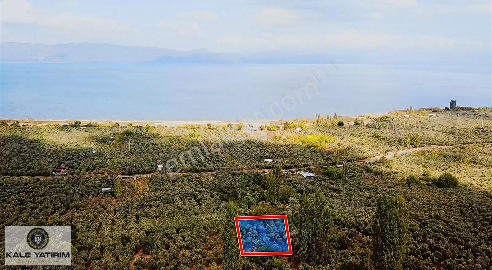 Kaleden Paşapınarda 925m² Eşsiz Göl Manzaralı Bakımlı Zeytinlik - Görsel 4
