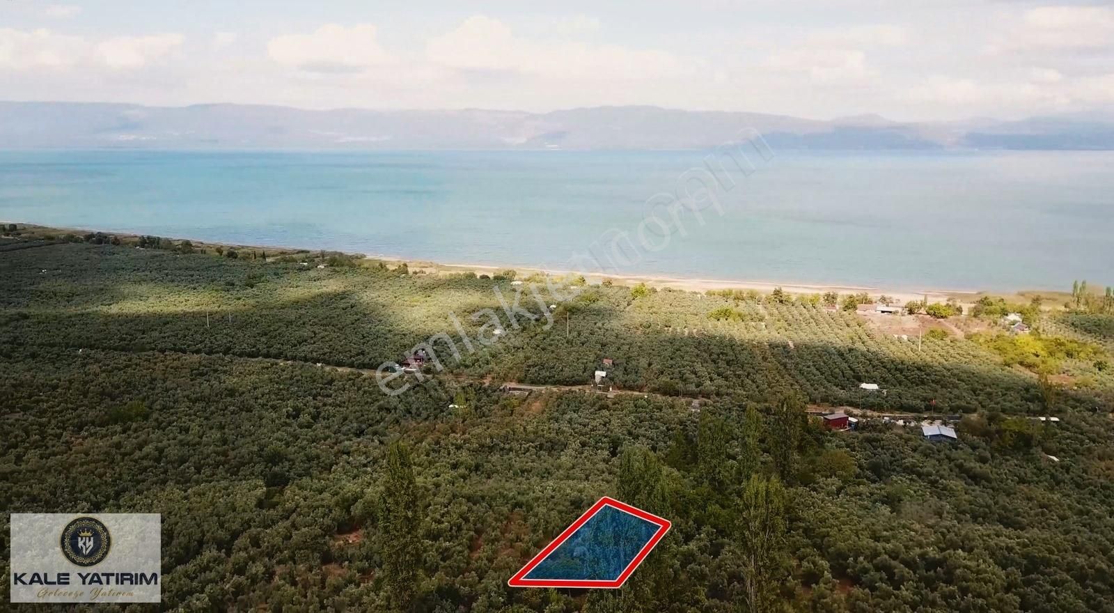 Kaleden Paşapınarda 925m² Eşsiz Göl Manzaralı Bakımlı Zeytinlik - Görsel 7