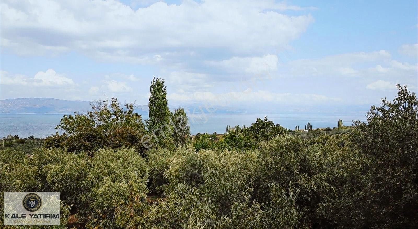 Kaleden Paşapınarda 925m² Eşsiz Göl Manzaralı Bakımlı Zeytinlik - Görsel 5