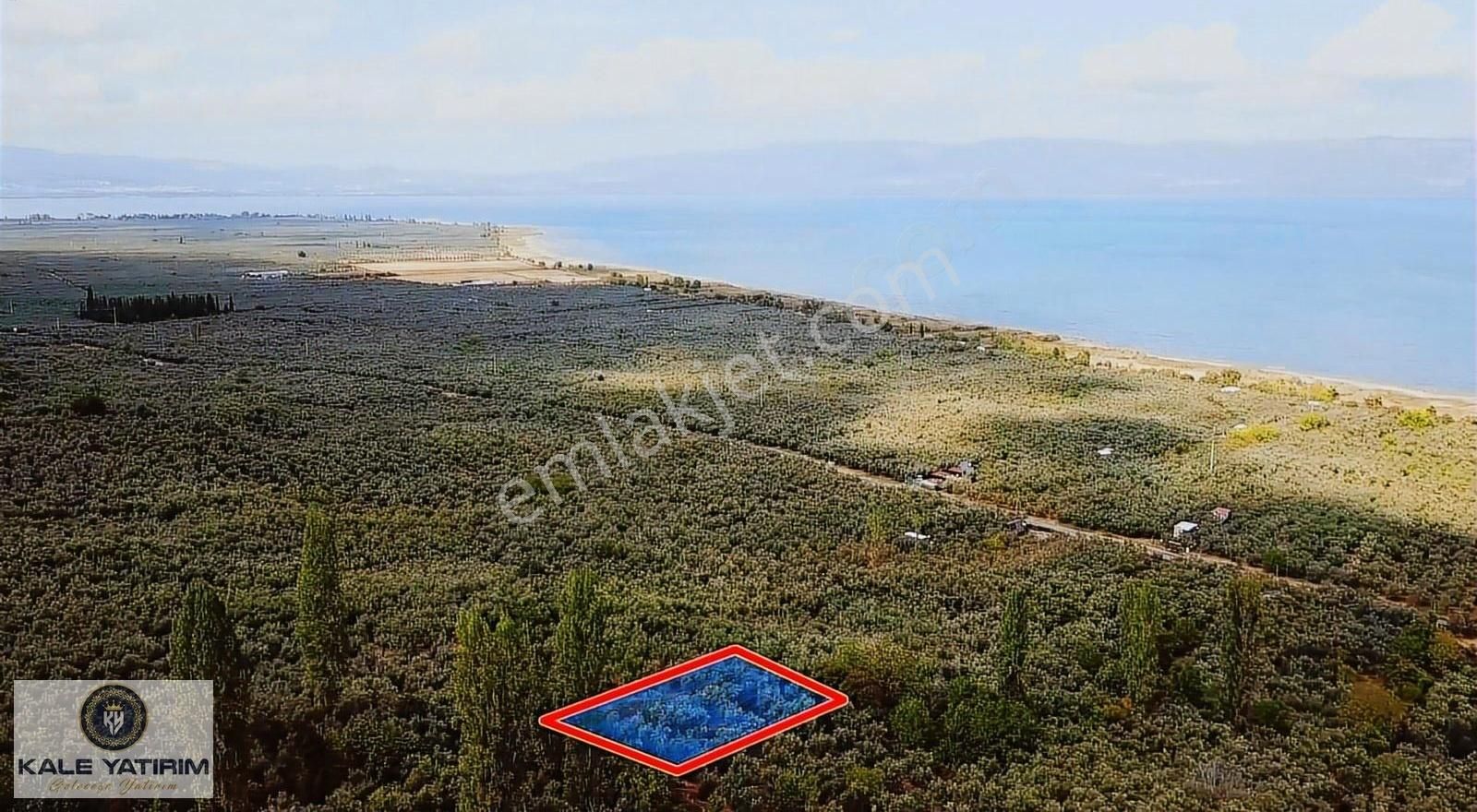 Kaleden Paşapınarda 925m² Eşsiz Göl Manzaralı Bakımlı Zeytinlik - Görsel 15
