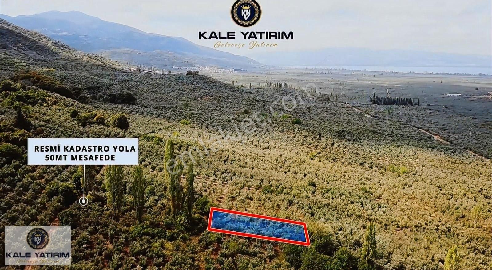 Kaleden Paşapınarda 925m² Eşsiz Göl Manzaralı Bakımlı Zeytinlik - Görsel 13
