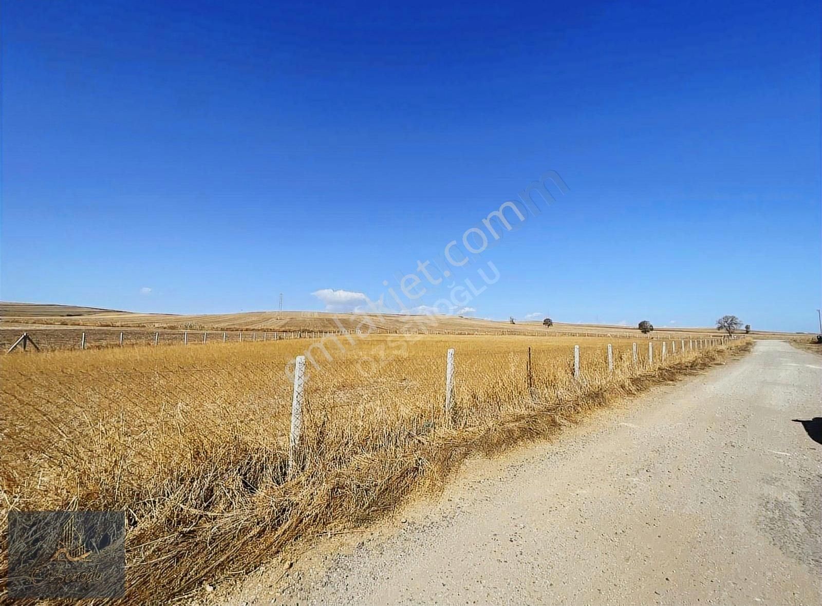 Özşenoğlu'dan Tekirdağ Marmaraereğlisin'de Müstakil Arsa - Görsel 12