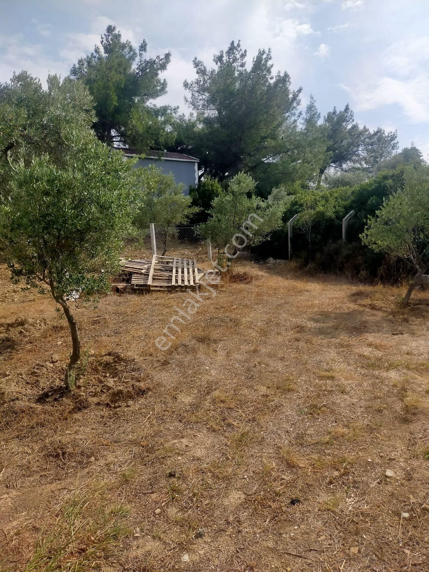 Ayrancılar Staremlaktan Yazıbasında 500m Satılık Bahçe - Görsel 12