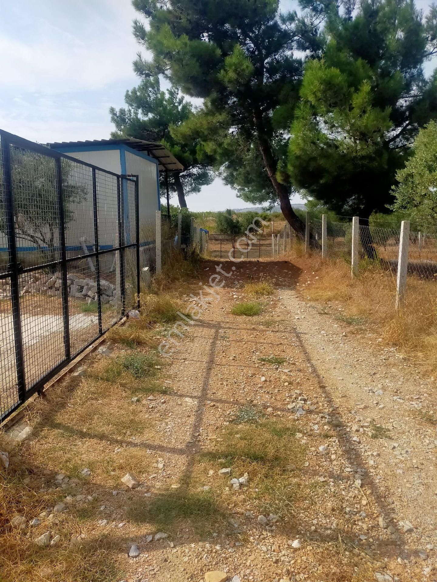 Ayrancılar Staremlaktan Yazıbasında 500m Satılık Bahçe - Görsel 10