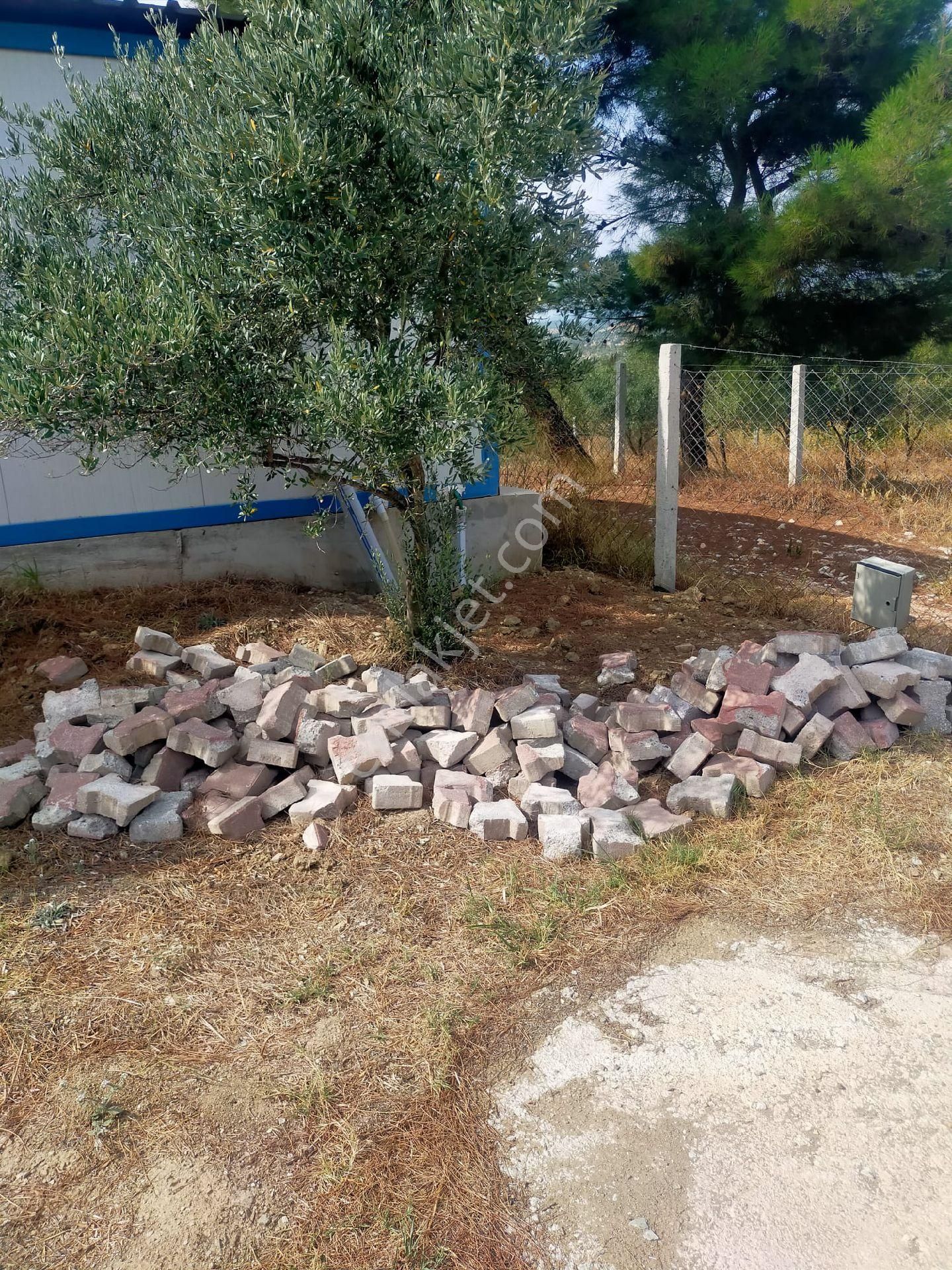 Ayrancılar Staremlaktan Yazıbasında 500m Satılık Bahçe - Görsel 11