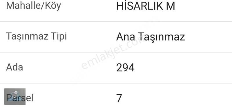 Selanik'ten İzmir Bayındır'da Tek Tapu 1384 M² 50 Adet Zeytinlik - Görsel 2