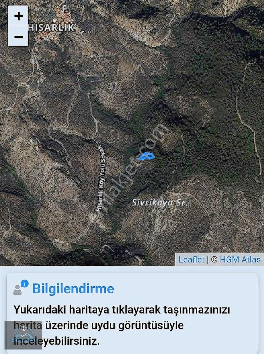 Selanik'ten İzmir Bayındır'da Tek Tapu 1384 M² 50 Adet Zeytinlik - Görsel 3