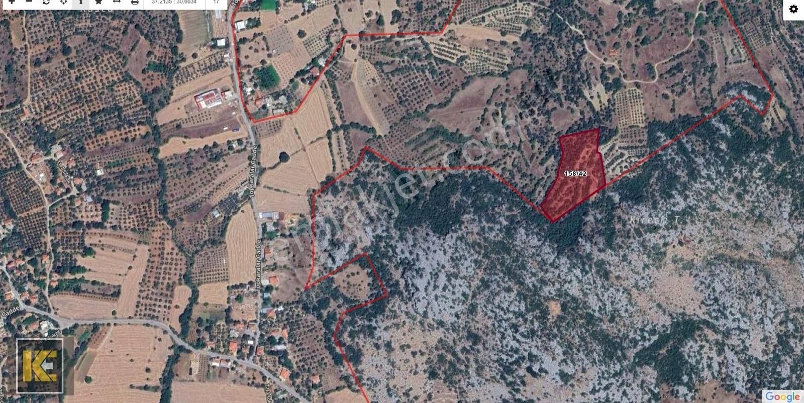 Kaan'dan...karaveliler'de 9.525m2 Zeytin Bahçesi Tek Tapulu... - Görsel 8