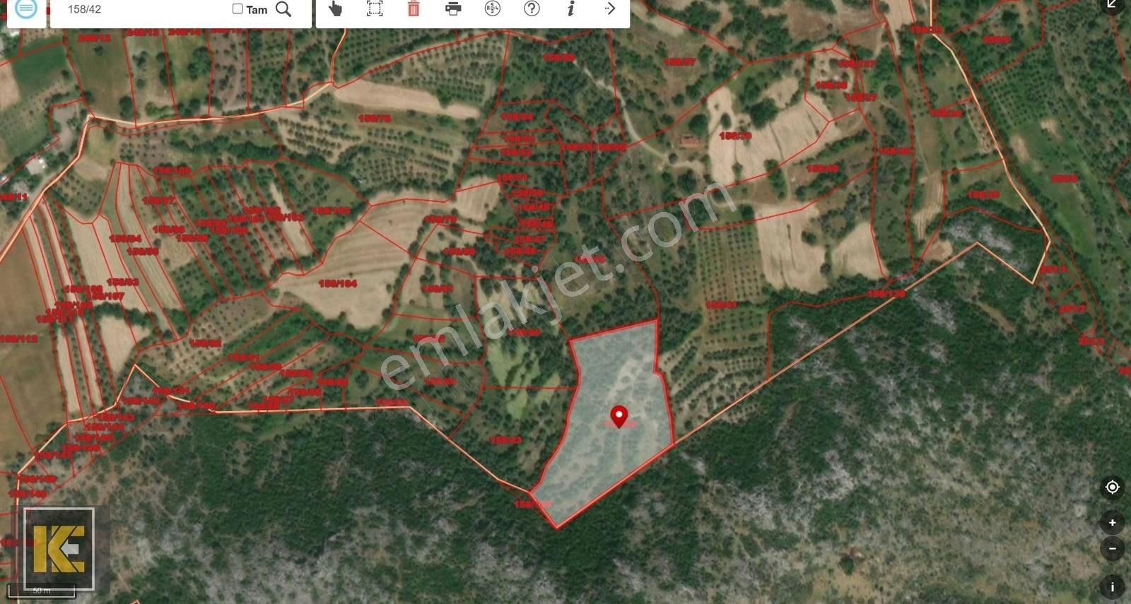 Kaan'dan...karaveliler'de 9.525m2 Zeytin Bahçesi Tek Tapulu... - Görsel 6