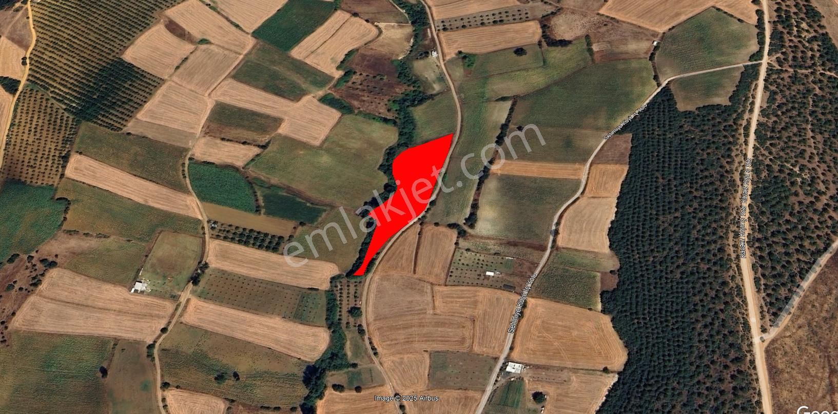 Roma' Dan Selimiye Mahallesi' Nde Satılık Tarla