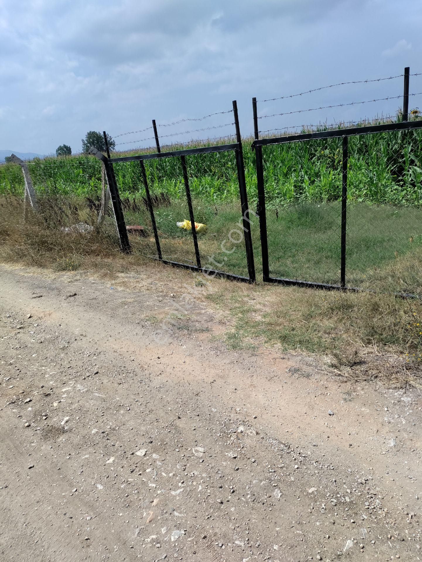 Eski Balıkesir Edremit Yoluna Cepheli Kiralık Tarla - Görsel 4