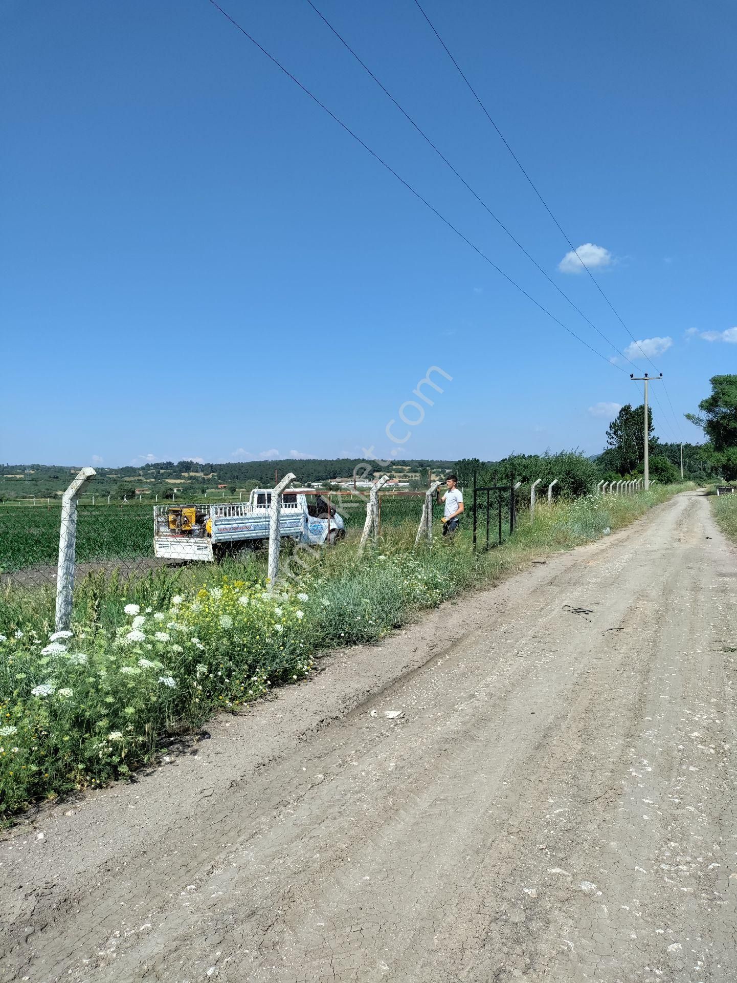 Eski Balıkesir Edremit Yoluna Cepheli Kiralık Tarla - Görsel 29